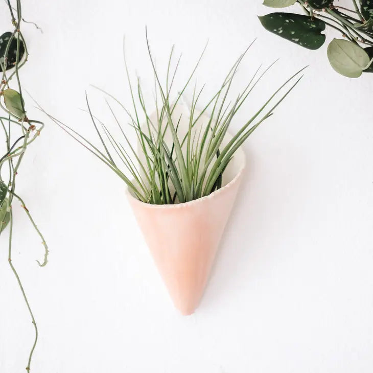 Ceramic Vase Wall Planter - Large