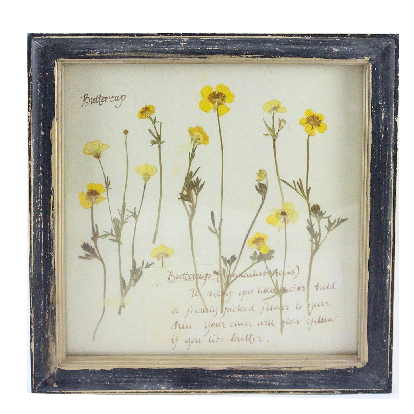Rustic Wood Framed Buttercup Flower Wall Decor