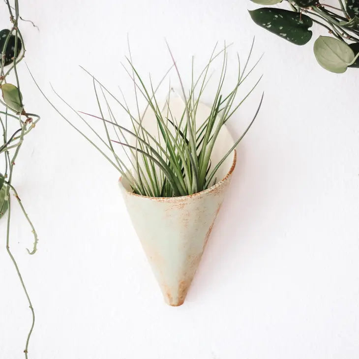Ceramic Vase Wall Planter - Large