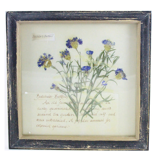 Rustic Wood Framed Bachelor's Buttons Flower Wall Decor