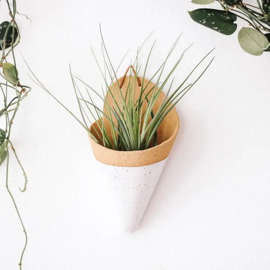 Ceramic Vase Wall Planter - Large